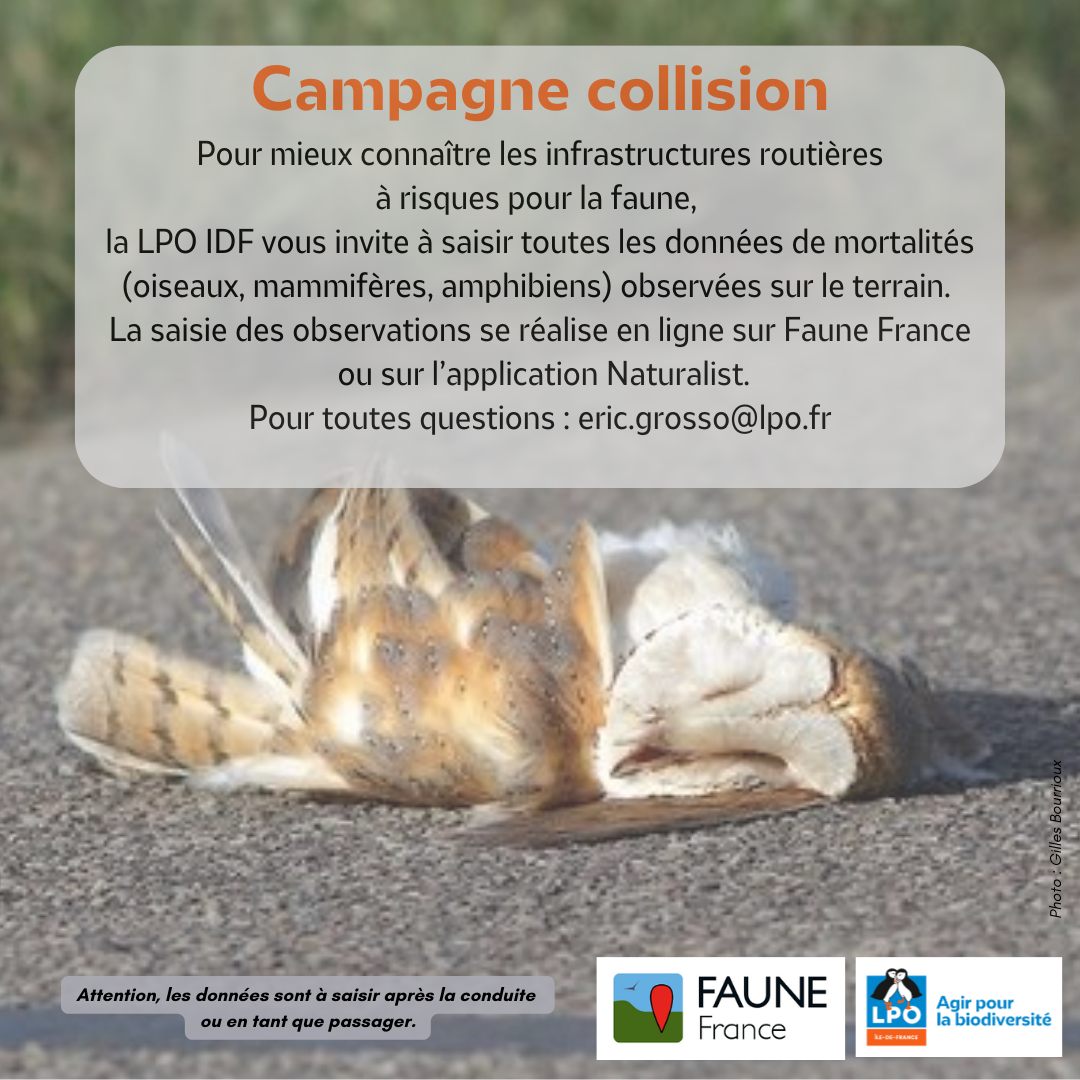 Campagne collision